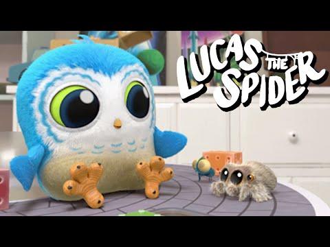 Lucas the Spider Teaches Arlo Life Lessons + More Cartoons for Kids