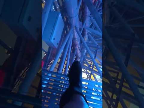 Would You EVER Do Something Like THIS?