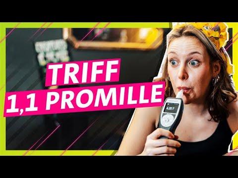 Triff genau 1,1 Promille!
