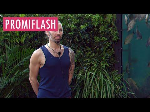 Gil Ofarims Anwalt will live Details zum Prozess preisgeben