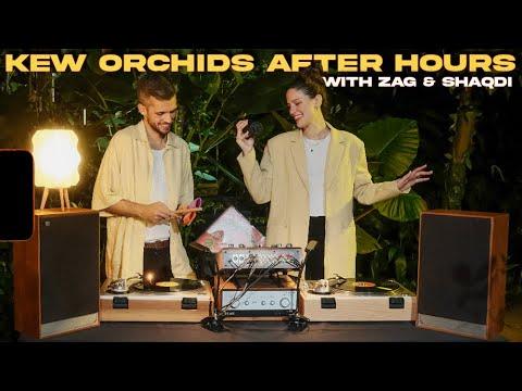 Sonic Treasures of Peru with Zag & Shaqdi