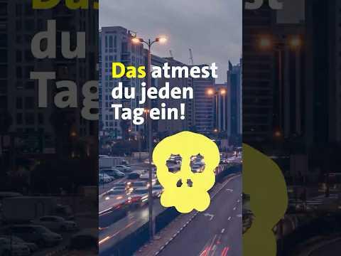 Das atmest du jeden Tag ein!