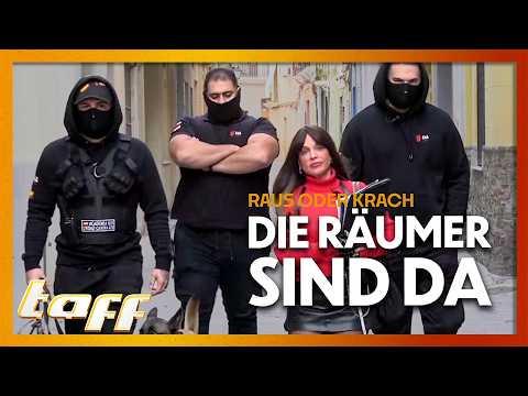 „Heute klären wir das!“ Private Räumer greifen ein: Vermieter verzweifelt wegen Mietnomaden | taff