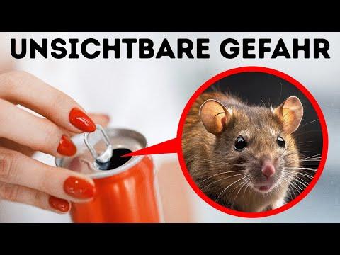 Ist Ihr Zuhause wirklich sicher? // Alltägliche Dinge mit verborgenen Risiken