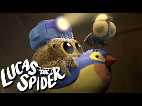 Findley Rescues Lucas The Spider | Kids Cartoons