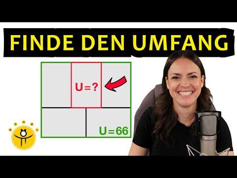 Gleichungssysteme – Anwendungsaufgabe mit Rechtecken