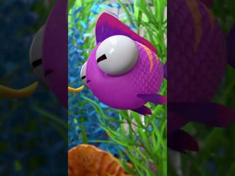 Dimples vs Weebicuit in a Starring Contest #lucasthespider #friends #kidsvideo