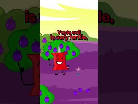 The Grand Return of Yoyleland #bfdi