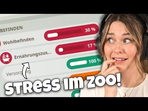 Die Strauße machen Stress! - Planet Zoo: Muckelzoo 112 (Stream vom 03.04.2025)