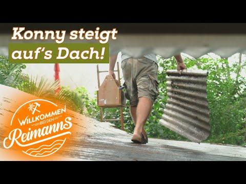 Viel zu TUN auf Hawaii! Konnys waghalsige Reparaturarbeiten in der KNEIPE