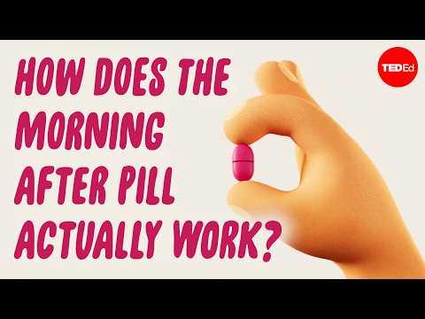 How does the morning-after pill prevent pregnancy? - Alison Edelman