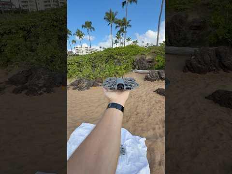 Solo Filmmaker Dream Drone DJI NEO 2