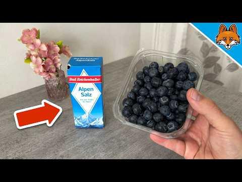 Hör auf Heidelbeeren NUR mit Wasser zu reinigen💥(Überraschend)🤯