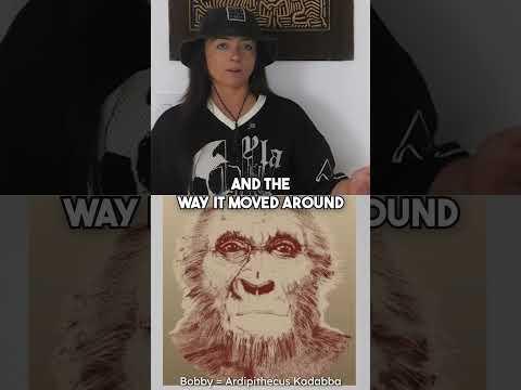 Was Bobby bipedal... like us? #prehistoric #evolution #fossils