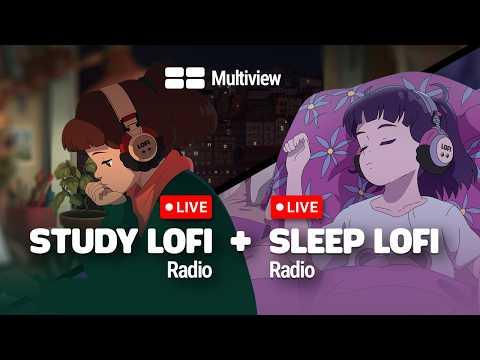 Lofi Multiview 🪟 choose your vibe | study mode or sleep mode