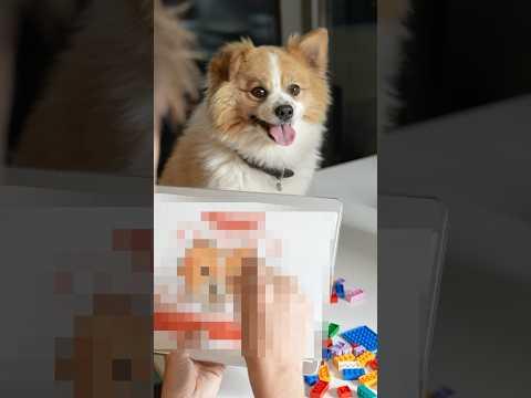 Ich bekomme meine eigene LEGO Minifigur😍