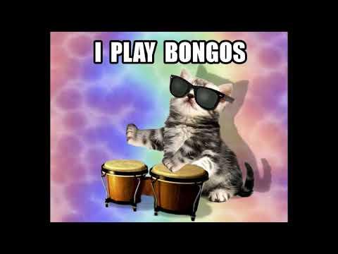 LOL CATS