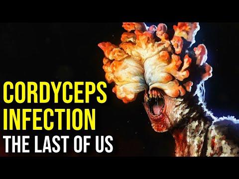 THE LAST OF US (Ophiocordyceps, Infected, Factions, Story + Ending) EXPLAINED