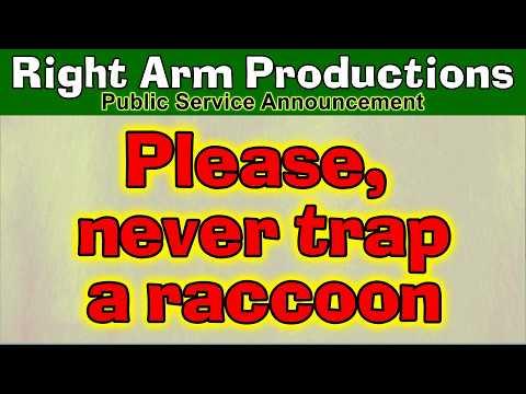 Public Service Announcements Series 2 022 Never Trap A Raccoon And Then Try To Be His Buddy