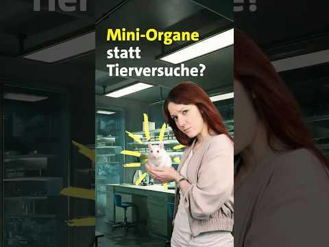 Mini-Organe statt Tierversuche?