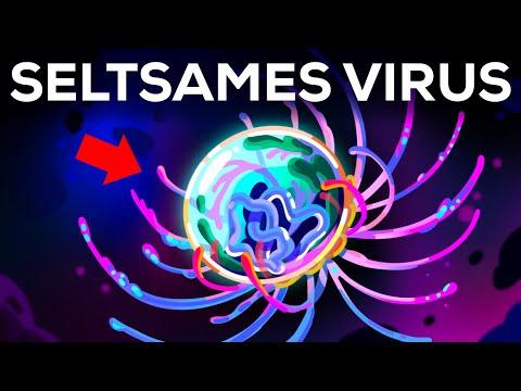 Dieses Virus verwirrt die Wissenschaft