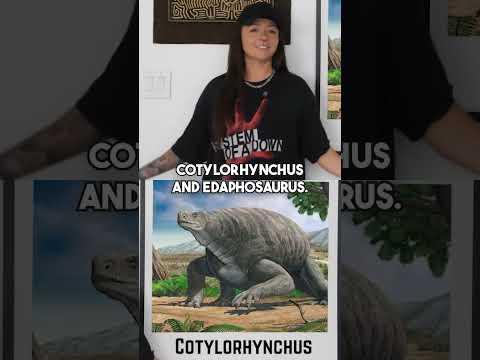 dimetrodon was not a dinosaur #paleontology #dinosaur #extinctanimals #tattoo