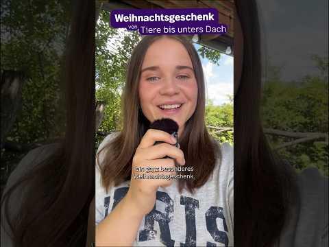 Ein Weihnachtsgeschenk🎁 von "Tiere bis unters Dach" | TbuD #shorts