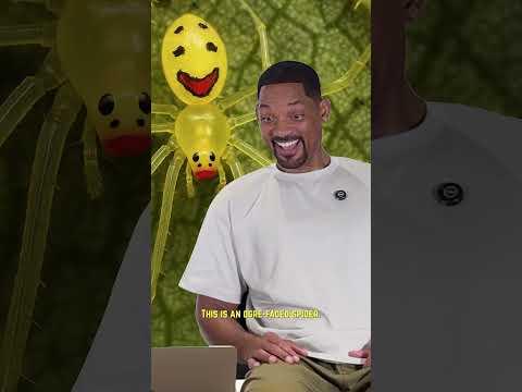 Check out Will’s own interaction with a spider on NatGeo’s Pole to Pole, out January 13th!