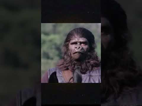 OUT NOW (TRIGGERWARNUNG!)  #deutschrap #krieg