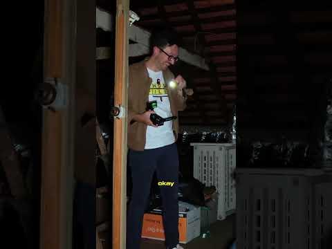 it's shane's world and we're all just living (or not) in it! #ghosthunting #funny #shorts