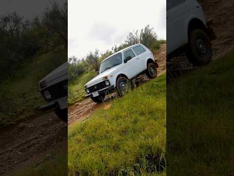 Surviving a Soviet Car