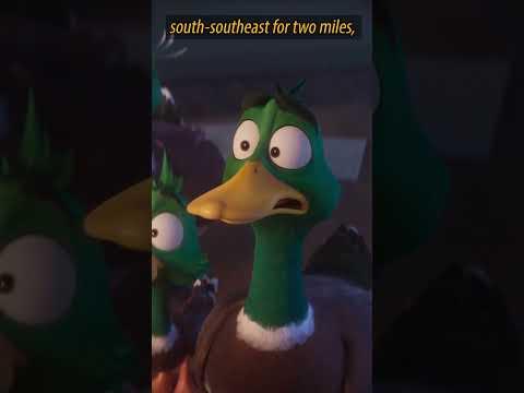 Okay, two things...#migration #cinemasins