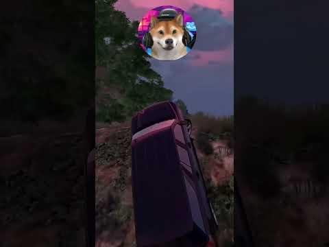 Verfolgung SCHEITERT? #gtarp #gta5 #csyon