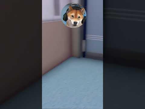 Das kann NICHT NOCHMAL funktionieren! #gtarp #gta5 #csyon