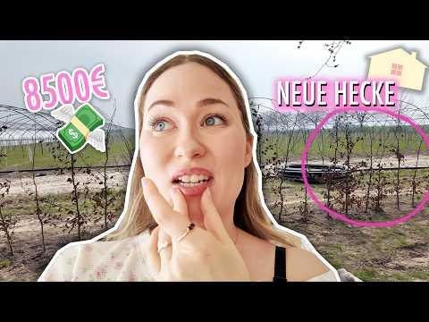 DAS haben wir uns ANDERS vorgestellt .. | Sonny Loops