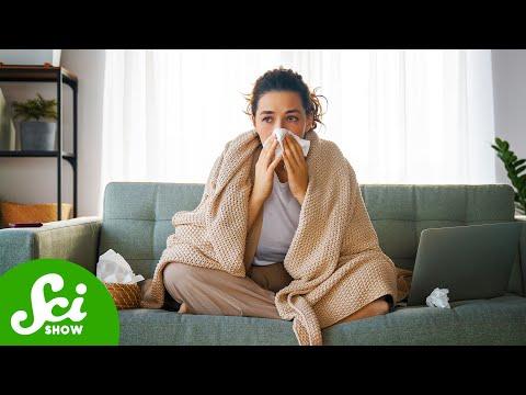 The Flu May Cause Alzheimer's
