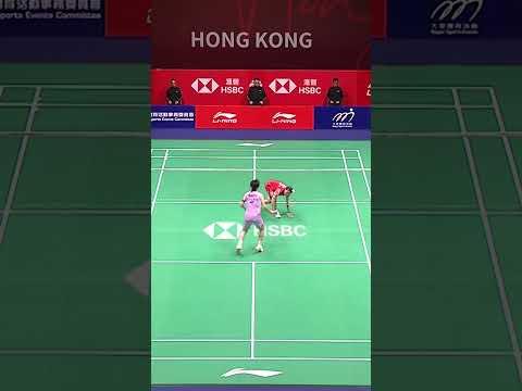 Absolutely superb! #shorts #badminton #BWF