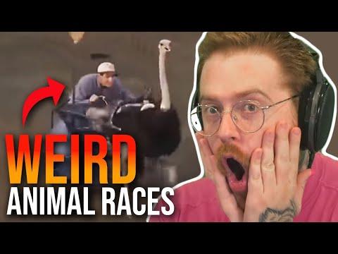 Finding The Weirdest Animal Races
