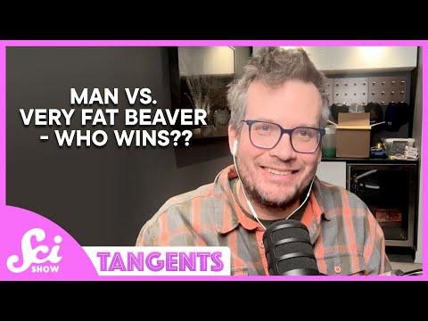 Plagues with John Green | SciShow Tangents Podcast