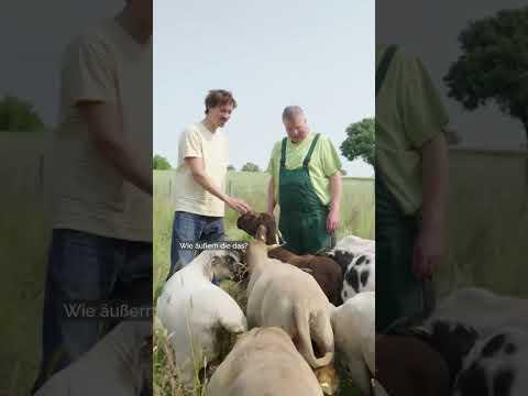 Kein Bock auf Frauen? #ykollektiv