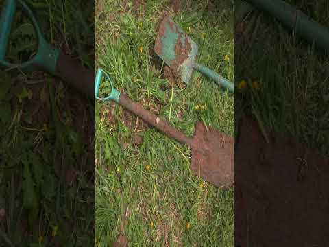 Confessions of a Gardener
