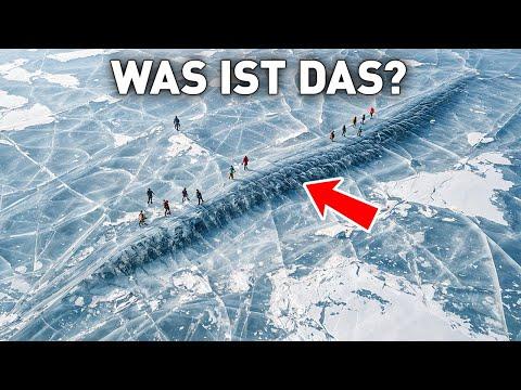 Unglaublich: Forscher erwecken uraltes, gefrorenes Tier zum Leben