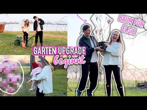 BAUM für ELSIE in UNSEREM GARTEN PFLANZEN! (Garten Makeover beginnt) | Sonny Loops