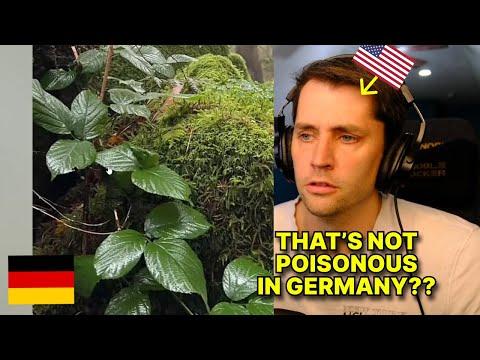 LAST WEEK IN GERMANY [65]