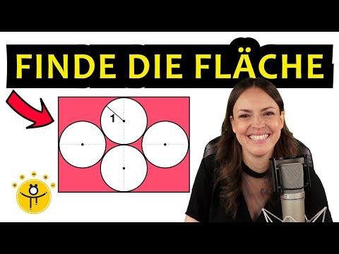 4 Kreise im Rechteck – Wie groß ist die Fläche?