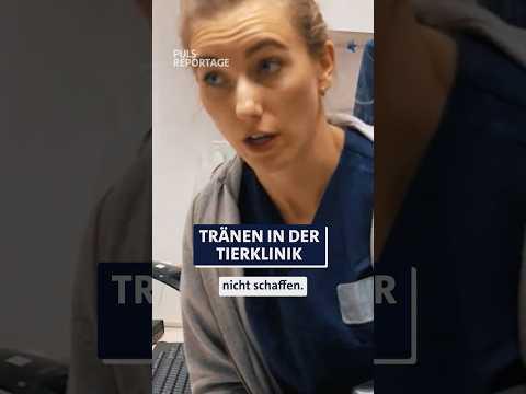 Wird es Jacky schaffen? 🐶