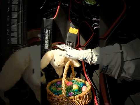 Happy Easter from Legend and his friend! 🐰💚🦊