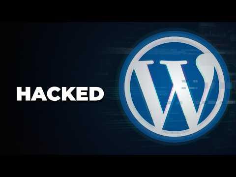 Wordpress Situation is Absolutely Insane