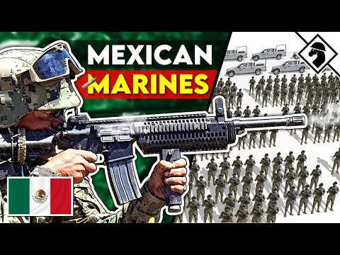 Mexican Marine Rifle Squad: Bizarro USMC?
