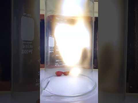 grape in a 20,000 watt microwave #science #experiment